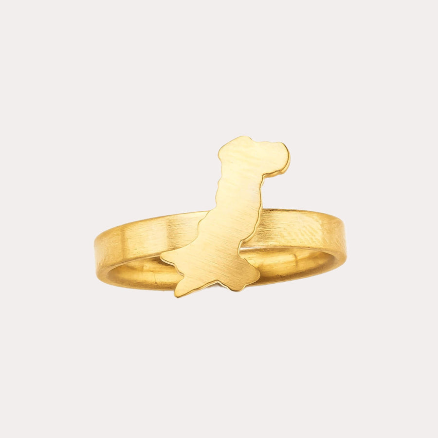 Pakistan Map Ring
