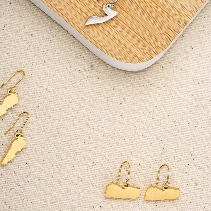 ZUDO_map-earrings-afganistan