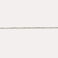 Non-adjustable 1mm Cable Chain - Image 5