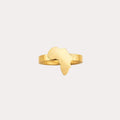 Africa Map Ring - Image 1