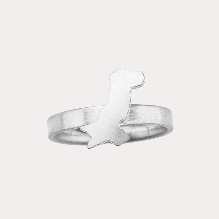 Pakistan Map Ring