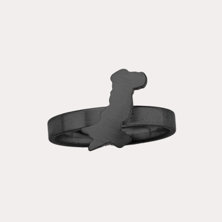 Pakistan Map Ring