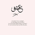 Ishq + Dishoom | Bundle - Image 4
