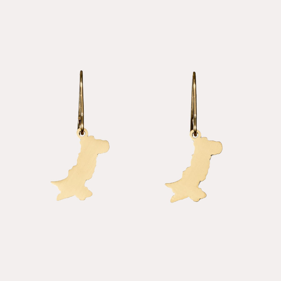 ZUDO-Pakistan-Map-Earrings