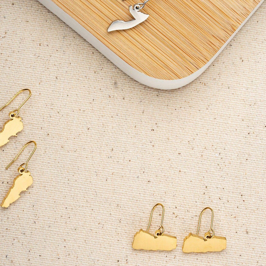 ZUDO_map-earrings-afganistan